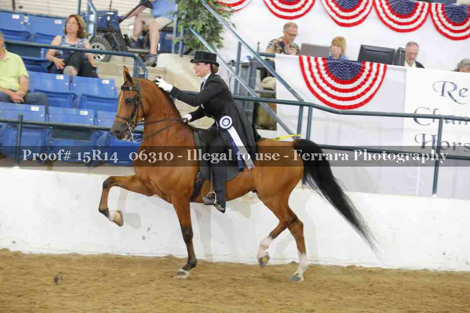 Proof Number 15R14_06310