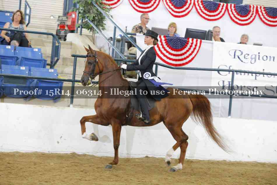 Proof Number 15R14_06314