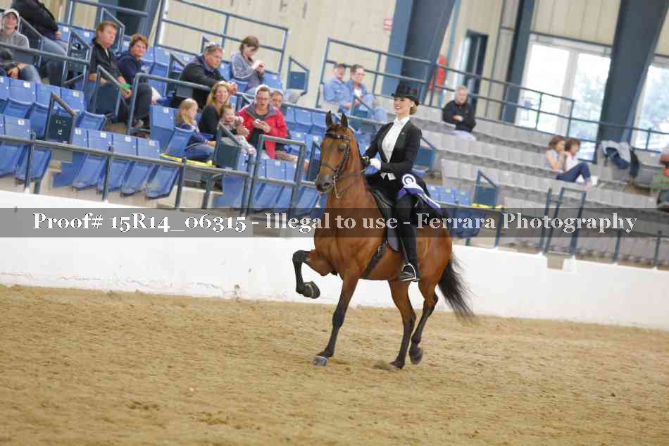 Proof Number 15R14_06315