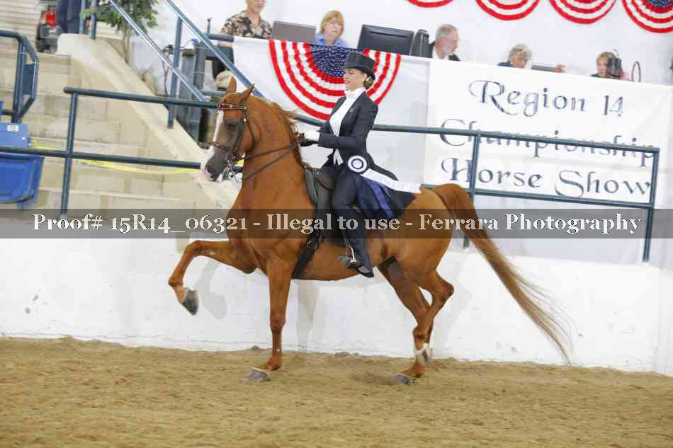 Proof Number 15R14_06321
