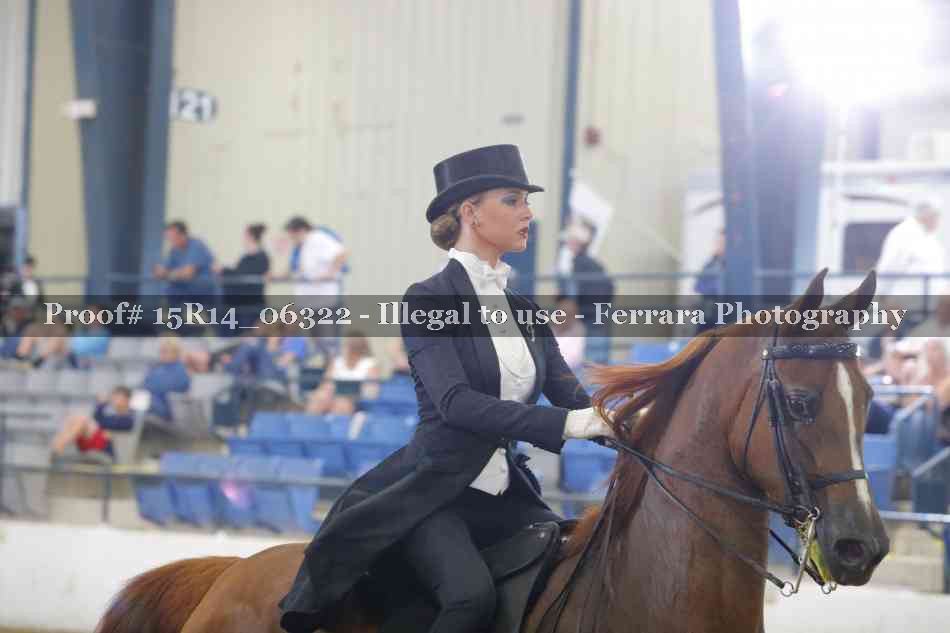 Proof Number 15R14_06322