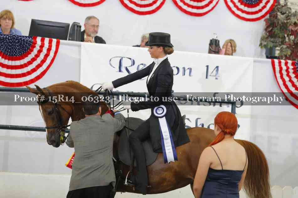 Proof Number 15R14_06323