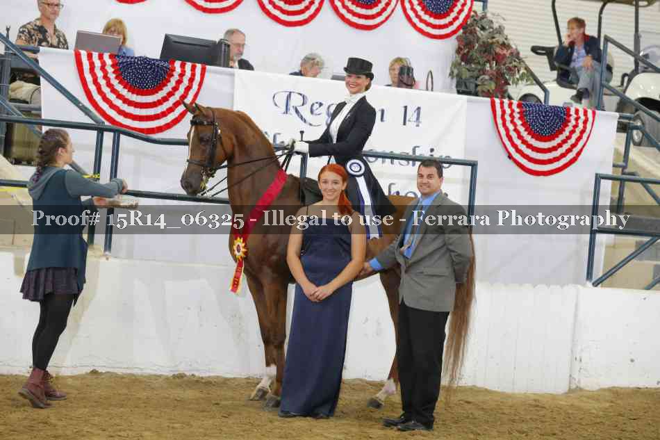 Proof Number 15R14_06325