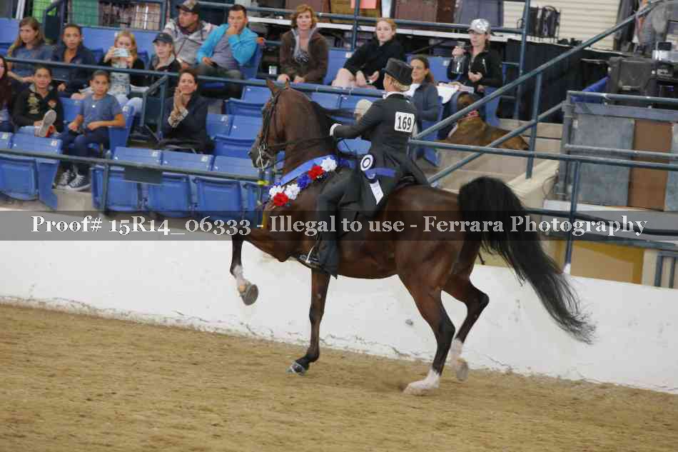 Proof Number 15R14_06333
