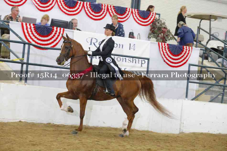 Proof Number 15R14_06337