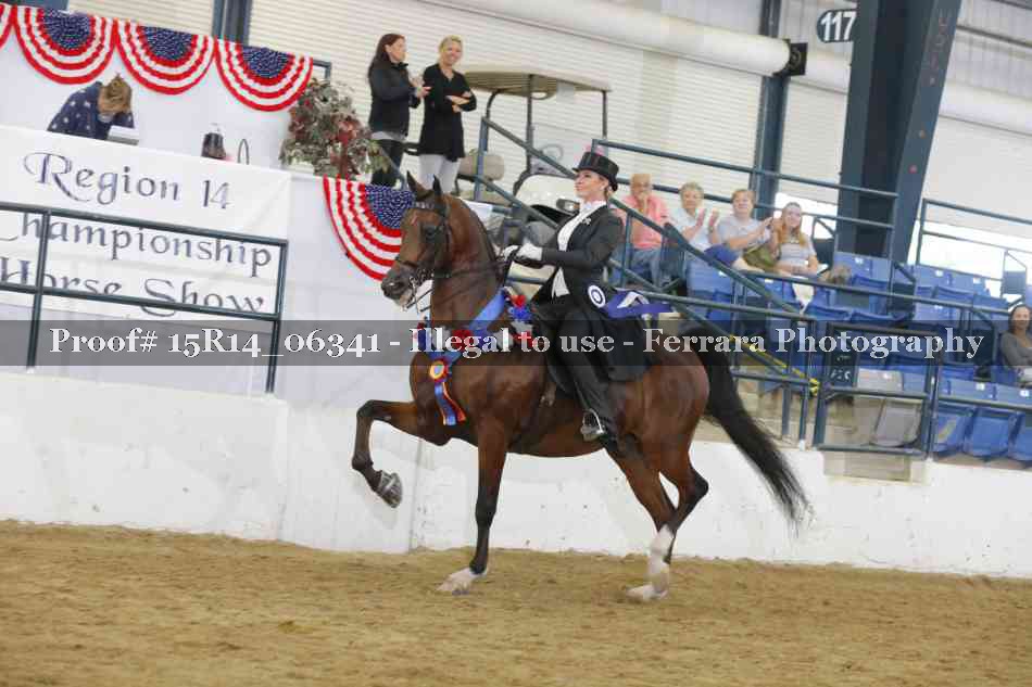 Proof Number 15R14_06341