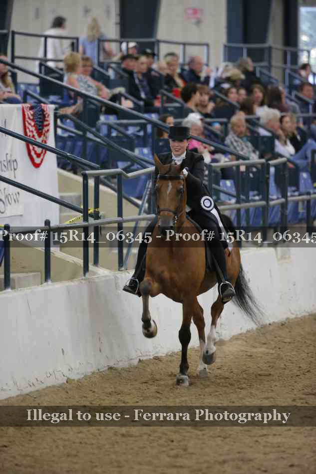 Proof Number 15R14_06345