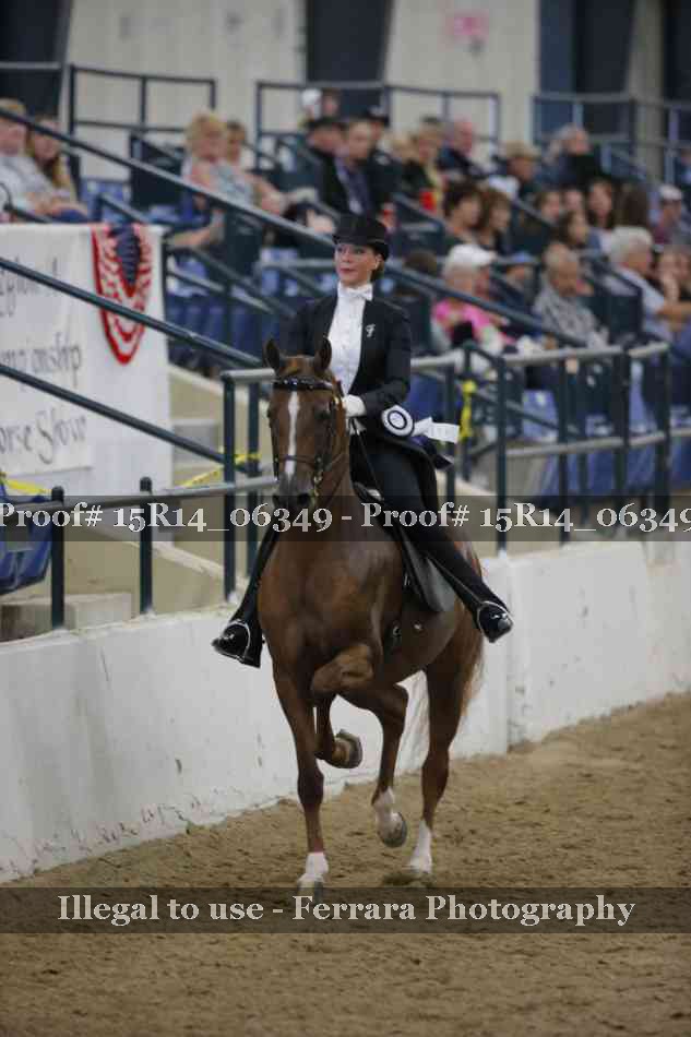 Proof Number 15R14_06349