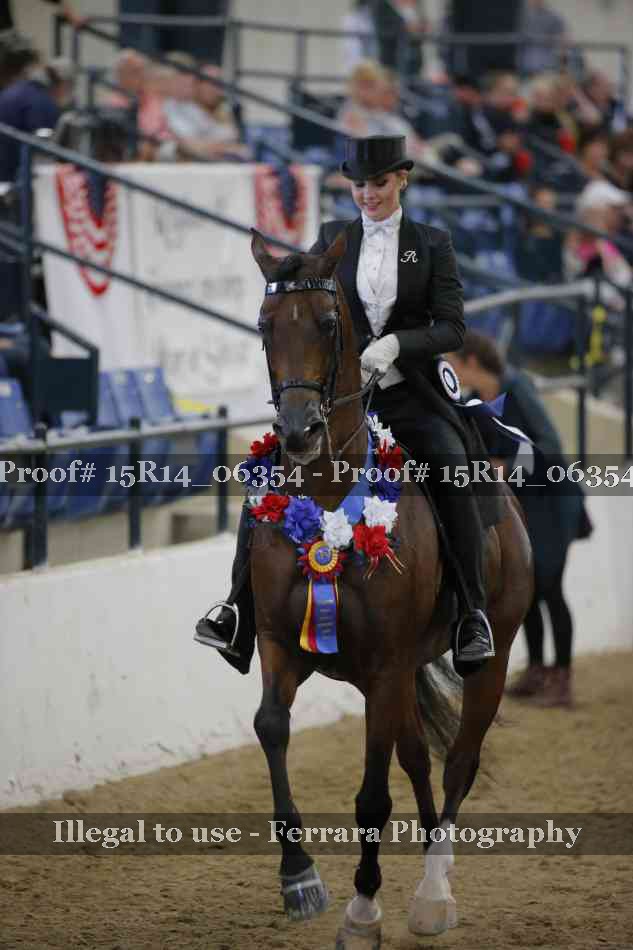 Proof Number 15R14_06354