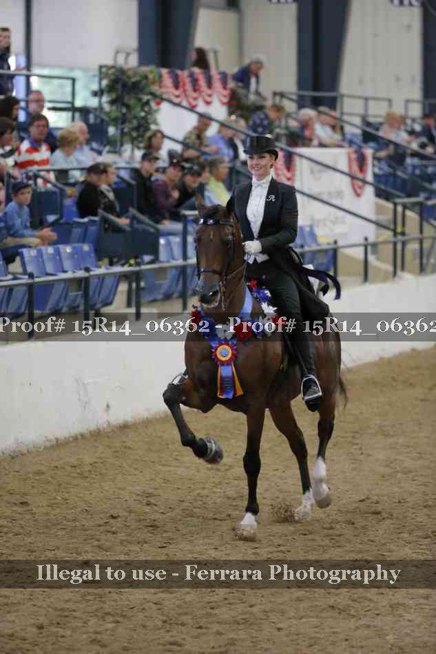 Proof Number 15R14_06362
