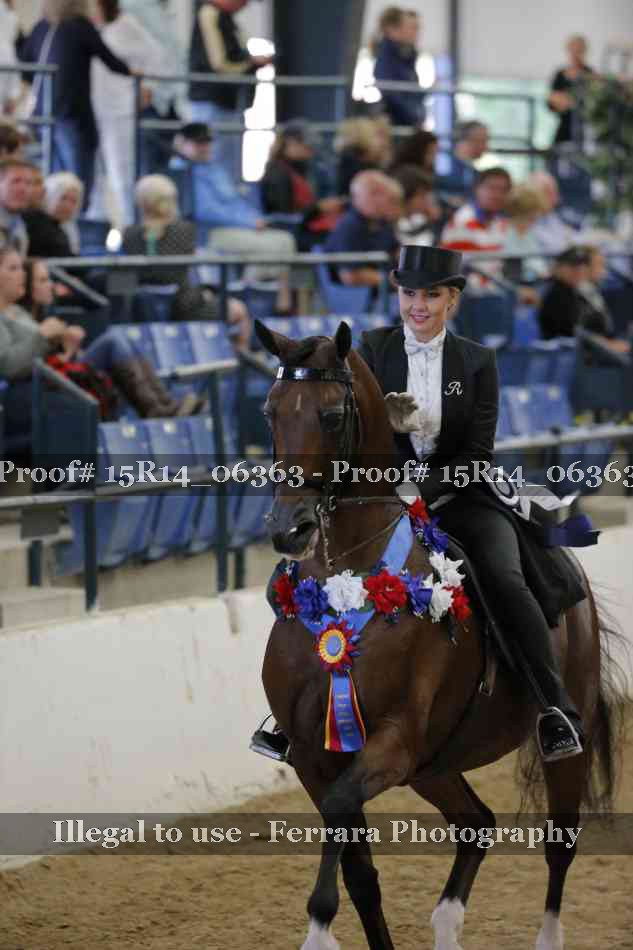 Proof Number 15R14_06363