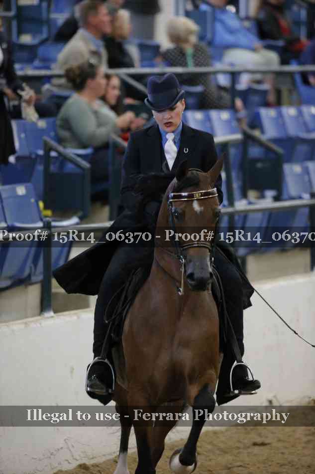 Proof Number 15R14_06370