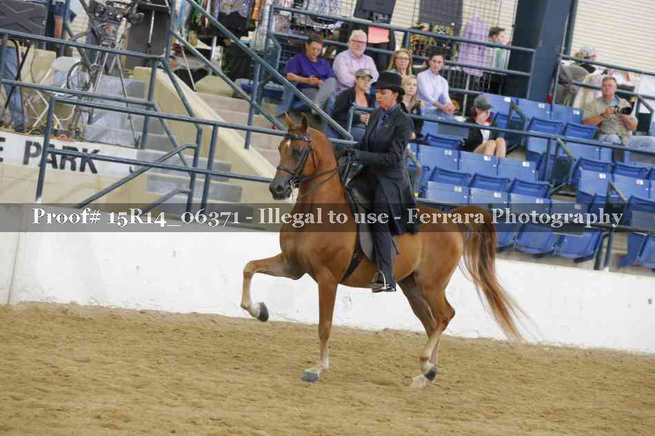 Proof Number 15R14_06371