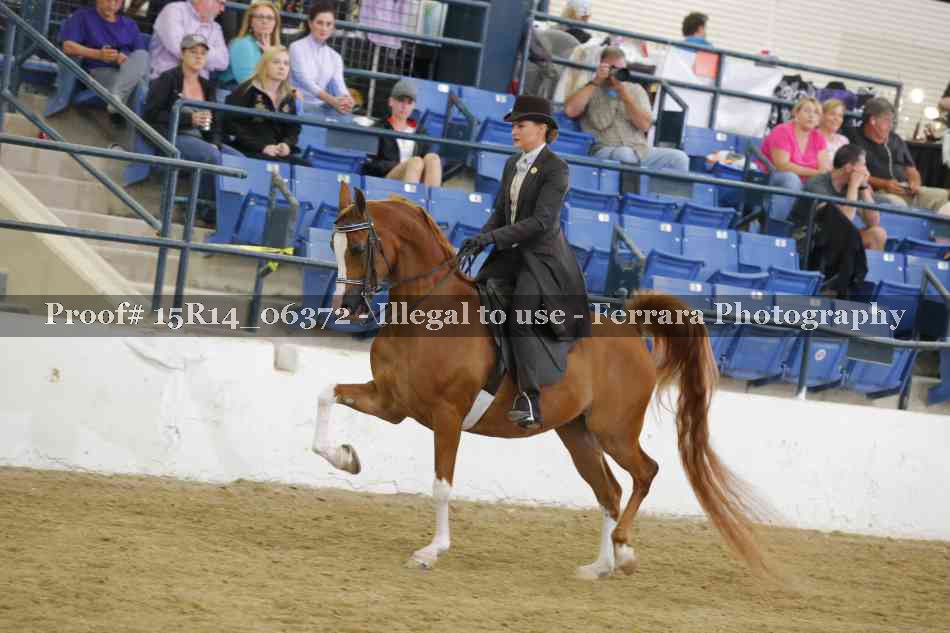 Proof Number 15R14_06372