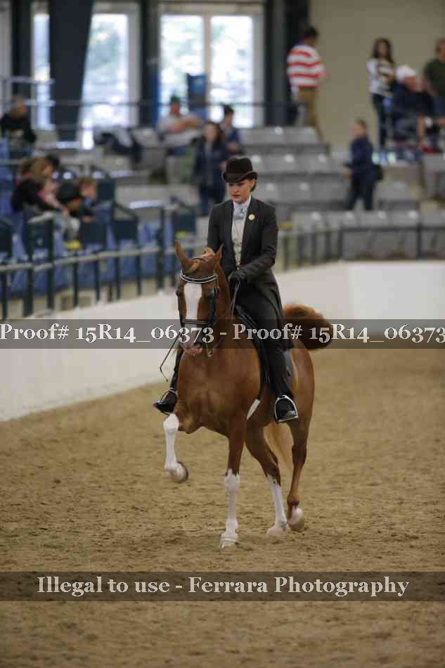 Proof Number 15R14_06373