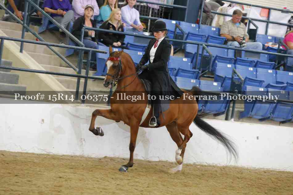 Proof Number 15R14_06375