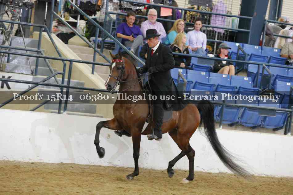 Proof Number 15R14_06380