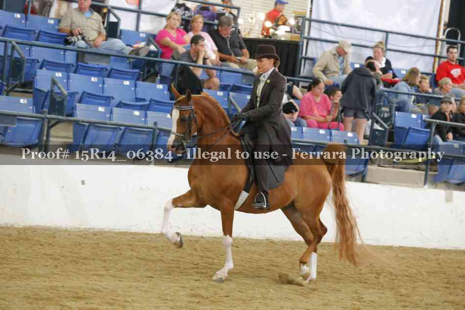 Proof Number 15R14_06384
