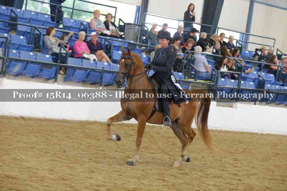 Proof Number 15R14_06388