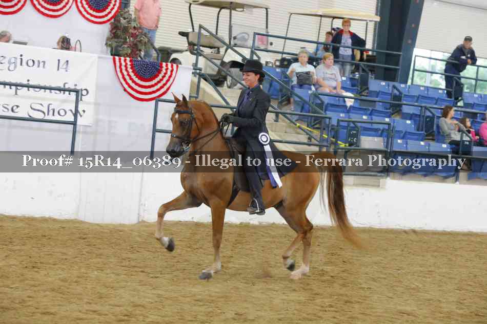 Proof Number 15R14_06389