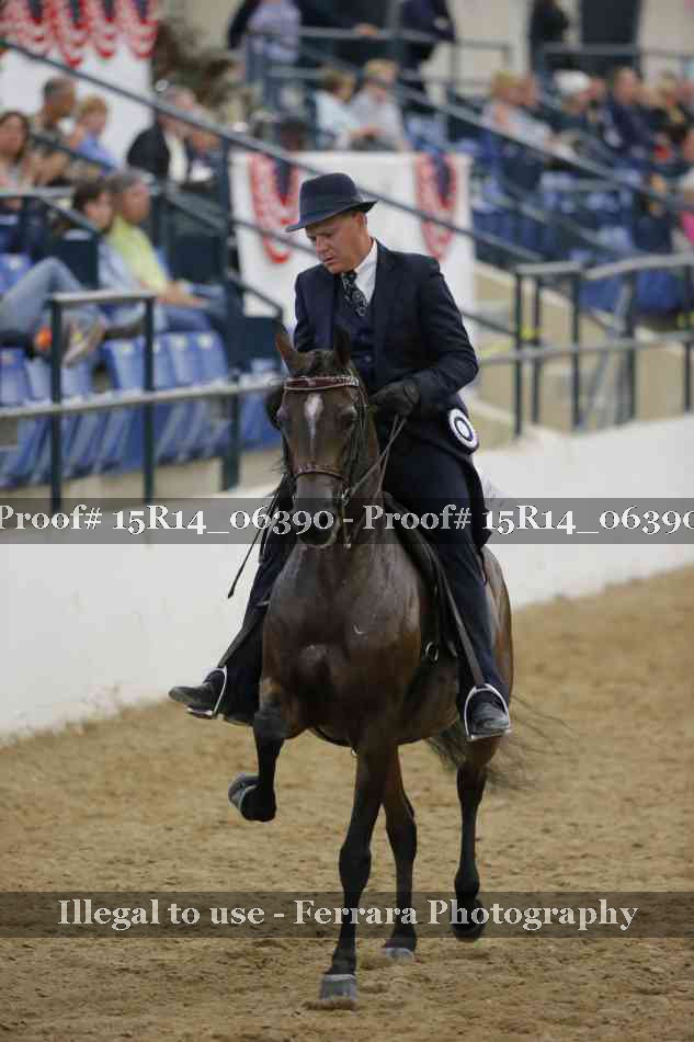 Proof Number 15R14_06390