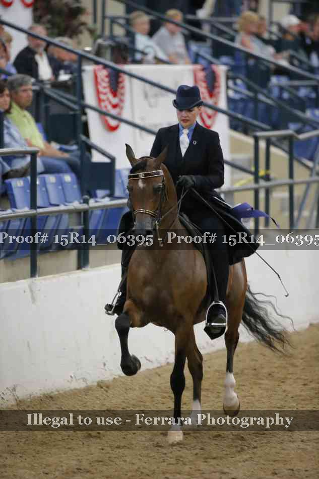 Proof Number 15R14_06395