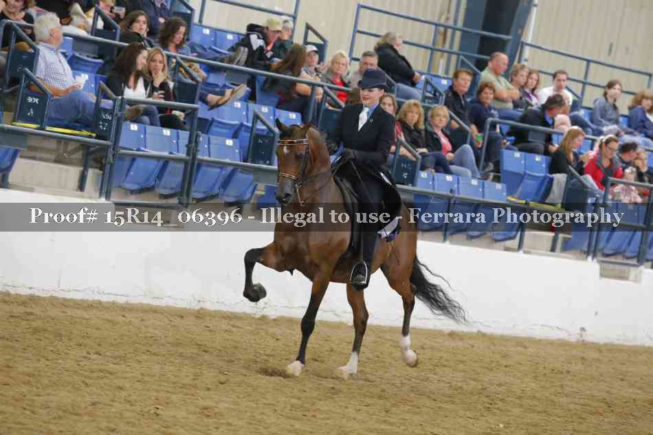 Proof Number 15R14_06396