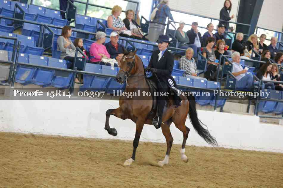 Proof Number 15R14_06397