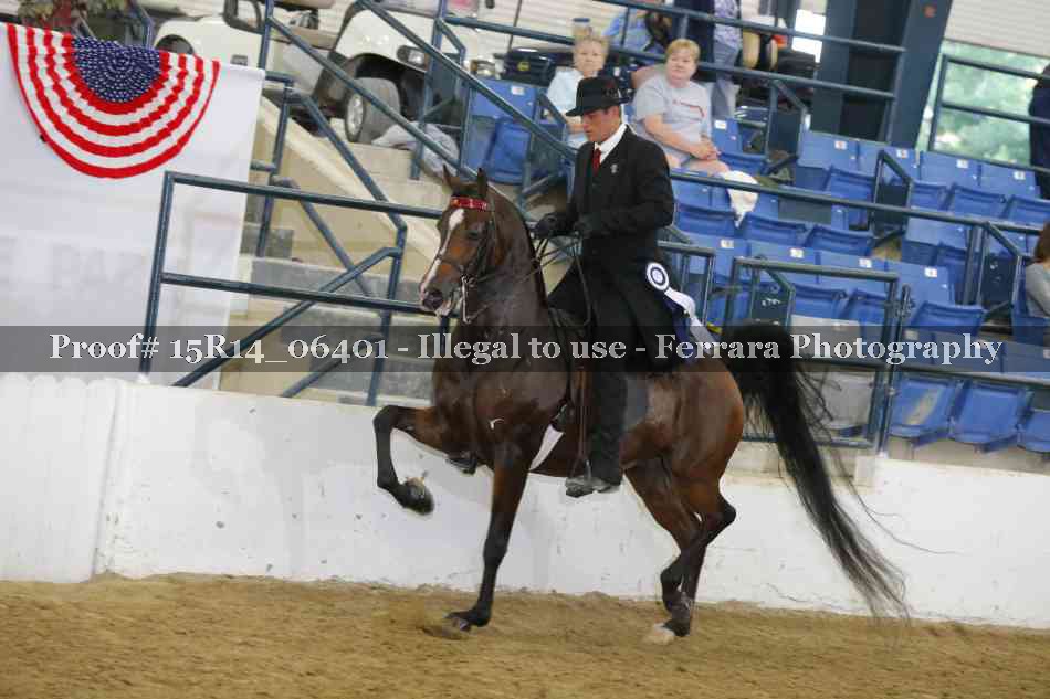 Proof Number 15R14_06401