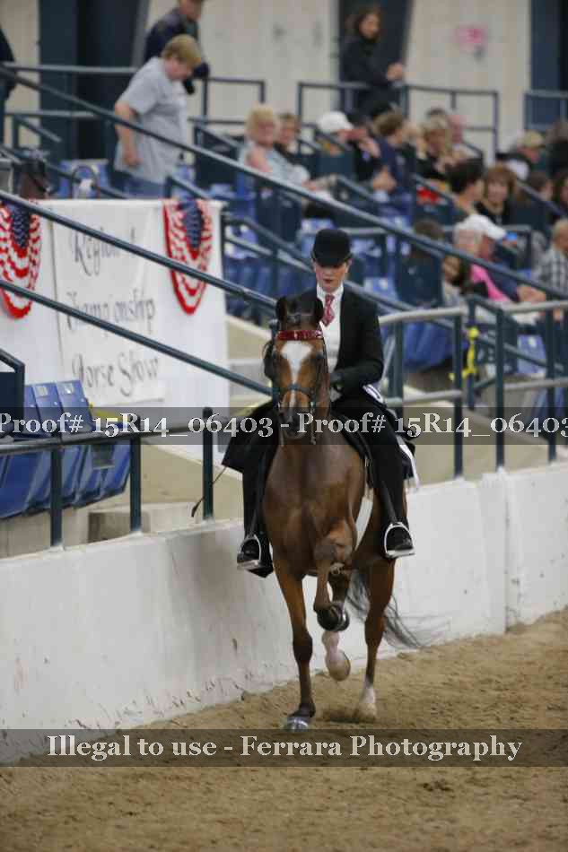 Proof Number 15R14_06403