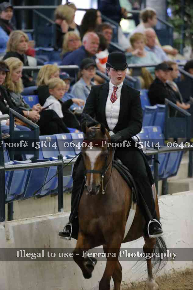 Proof Number 15R14_06404