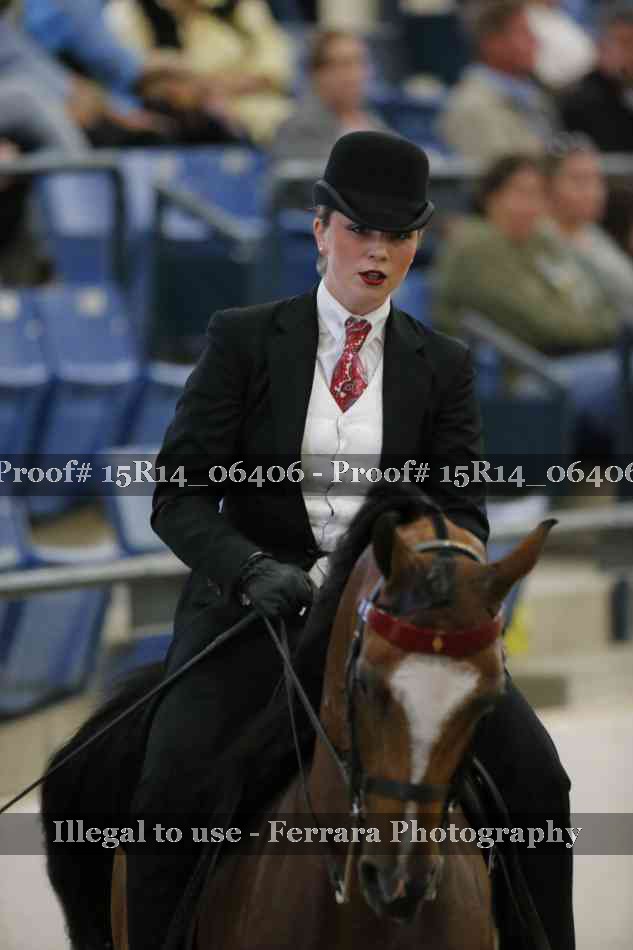 Proof Number 15R14_06406