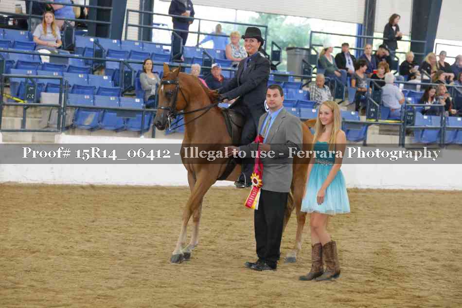 Proof Number 15R14_06412
