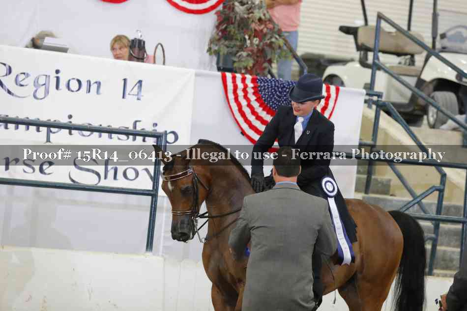Proof Number 15R14_06413
