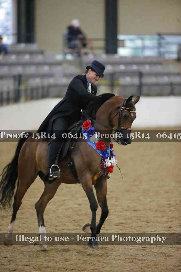 Proof Number 15R14_06415