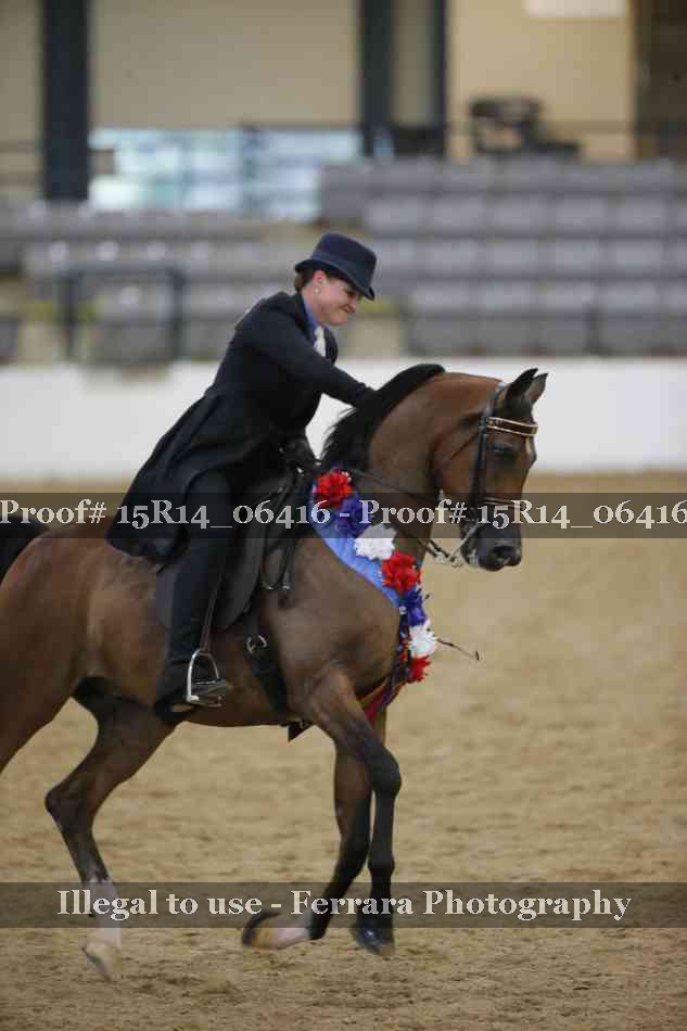 Proof Number 15R14_06416