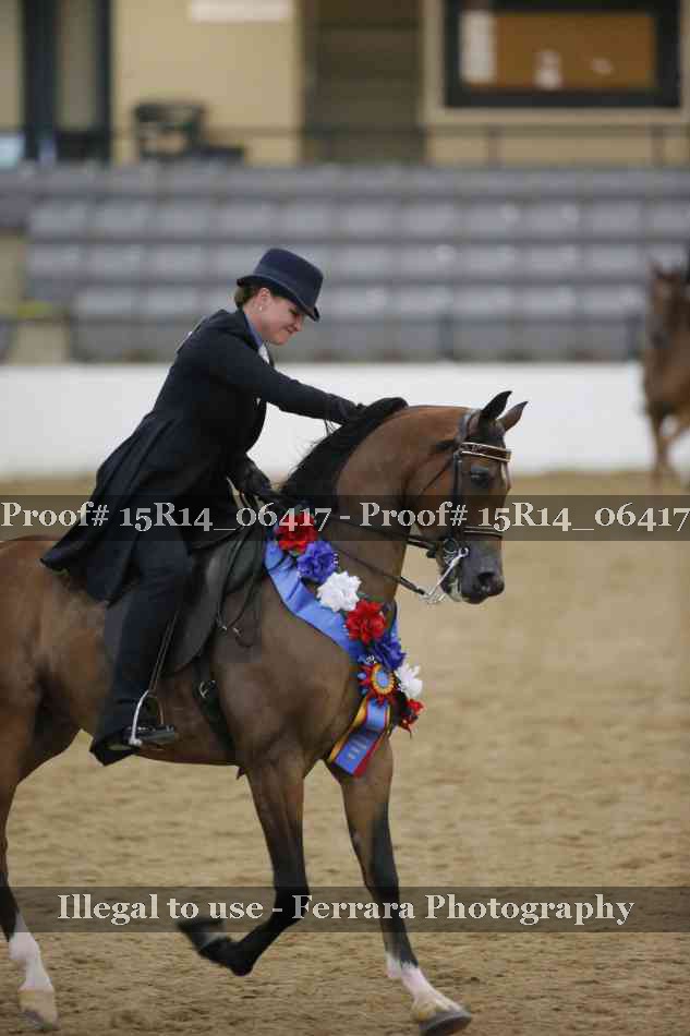 Proof Number 15R14_06417
