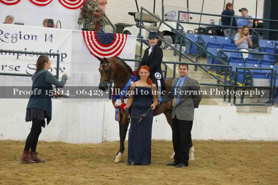 Proof Number 15R14_06423