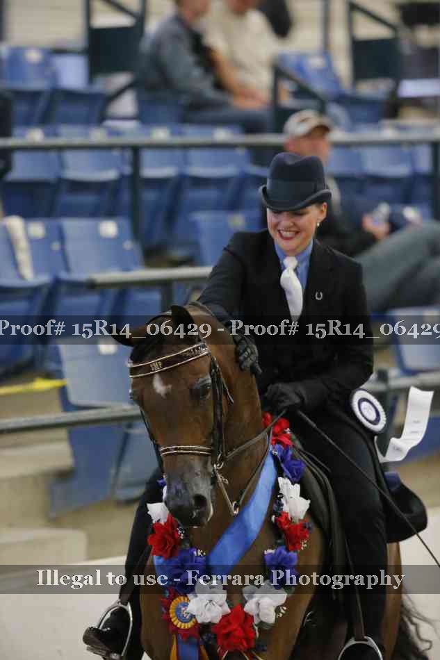 Proof Number 15R14_06429