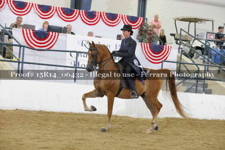 Proof Number 15R14_06432