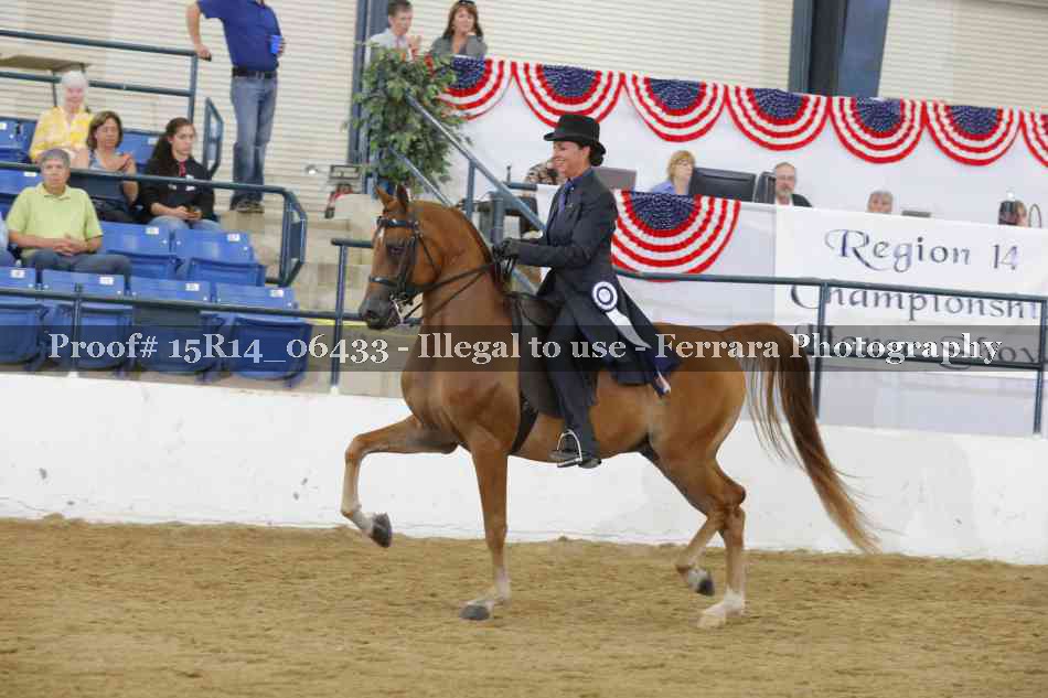 Proof Number 15R14_06433