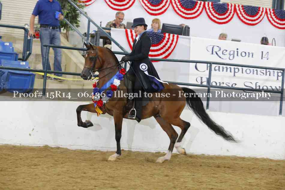 Proof Number 15R14_06436