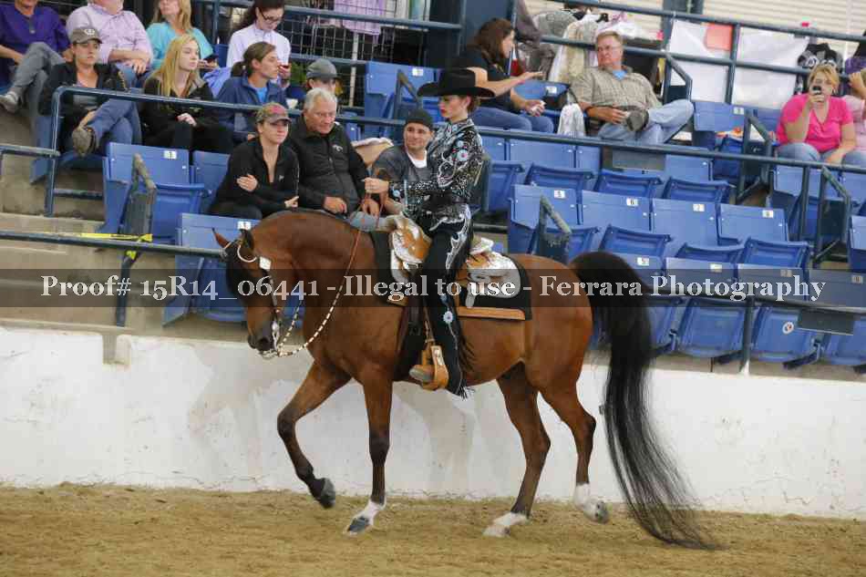 Proof Number 15R14_06441