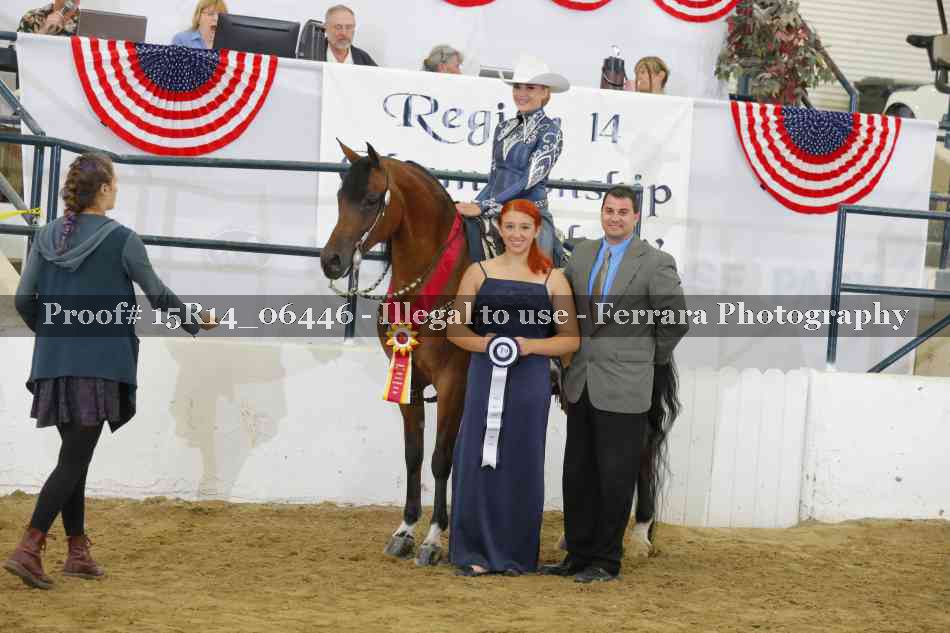 Proof Number 15R14_06446