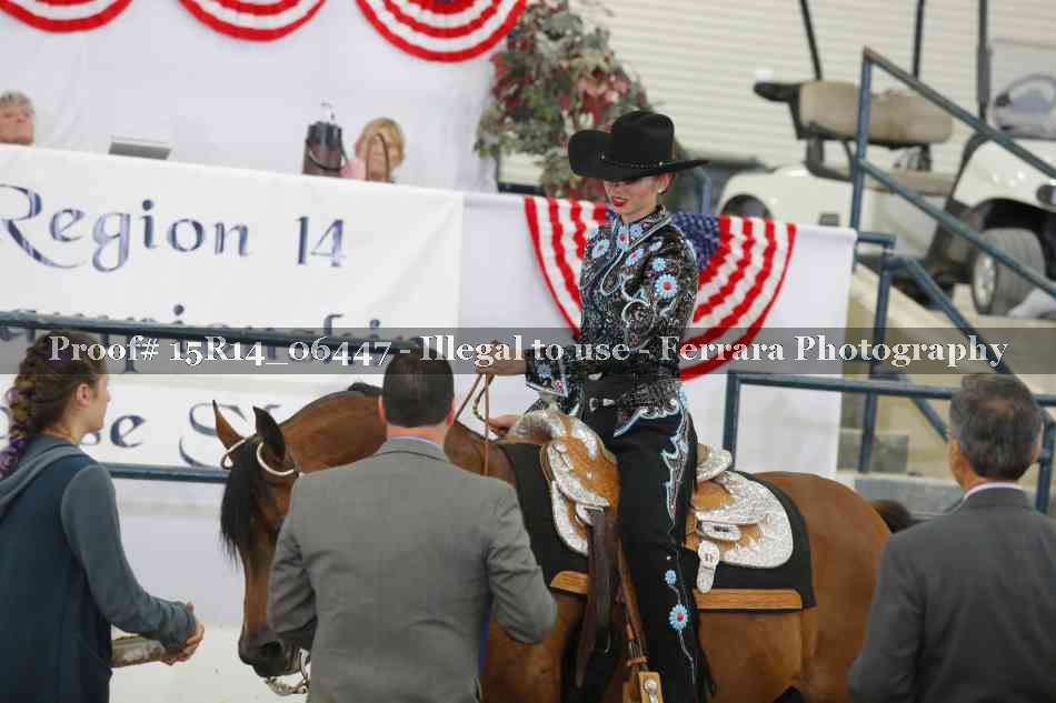 Proof Number 15R14_06447