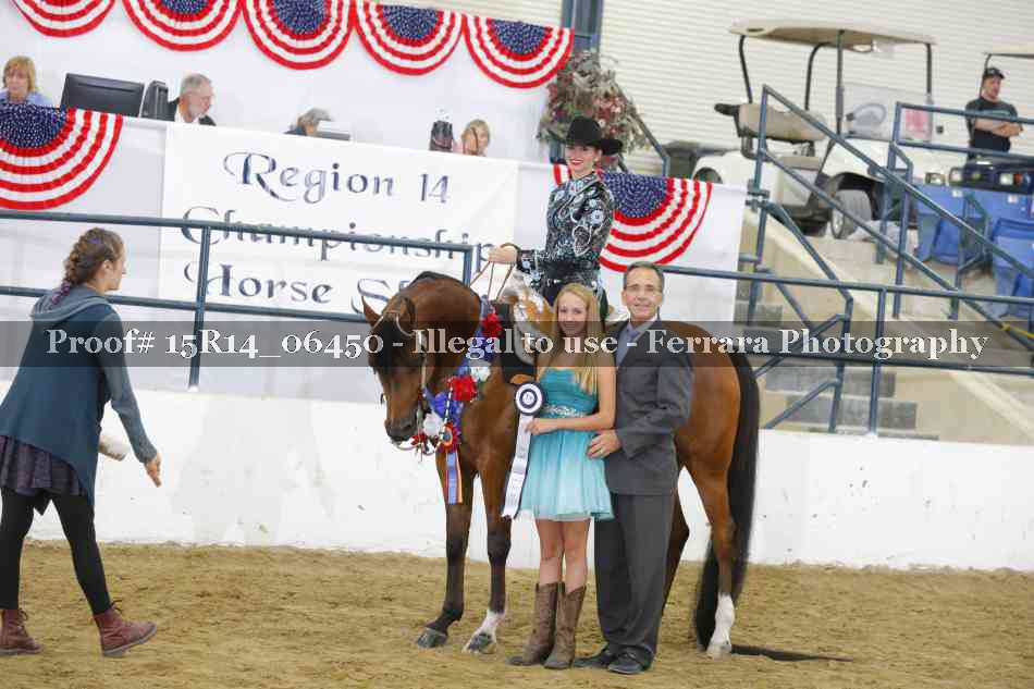 Proof Number 15R14_06450