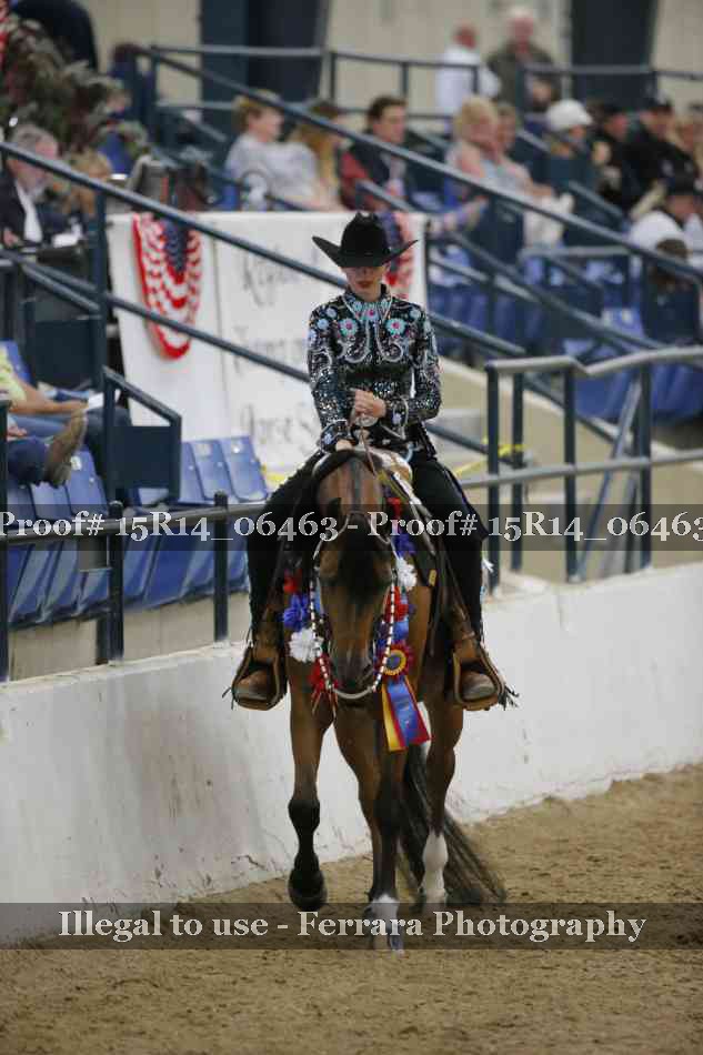 Proof Number 15R14_06463