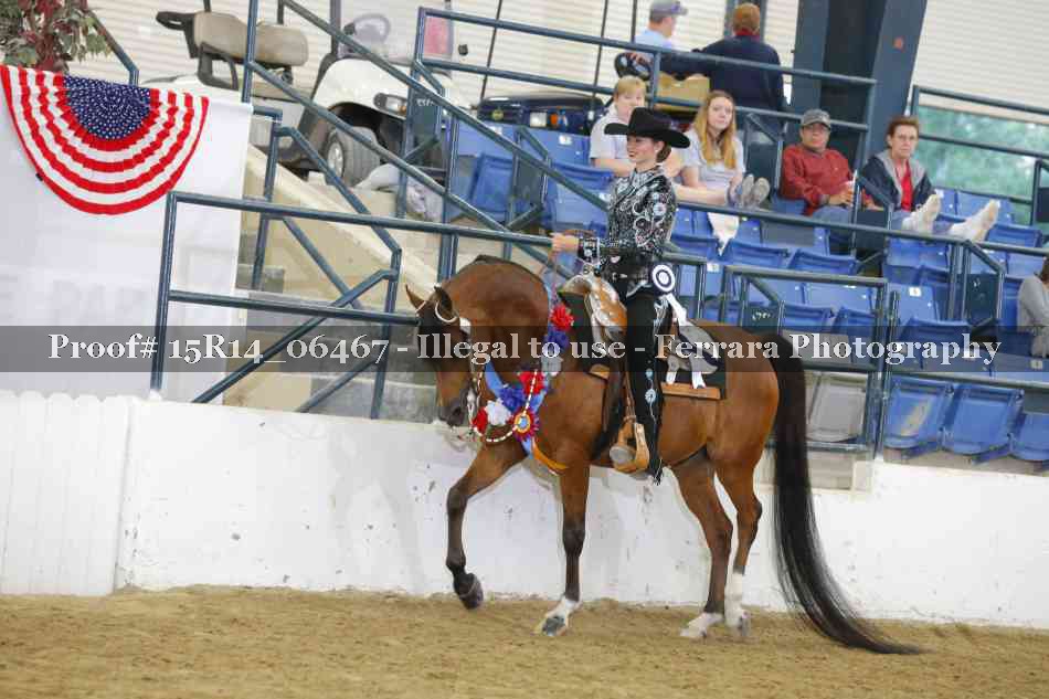 Proof Number 15R14_06467