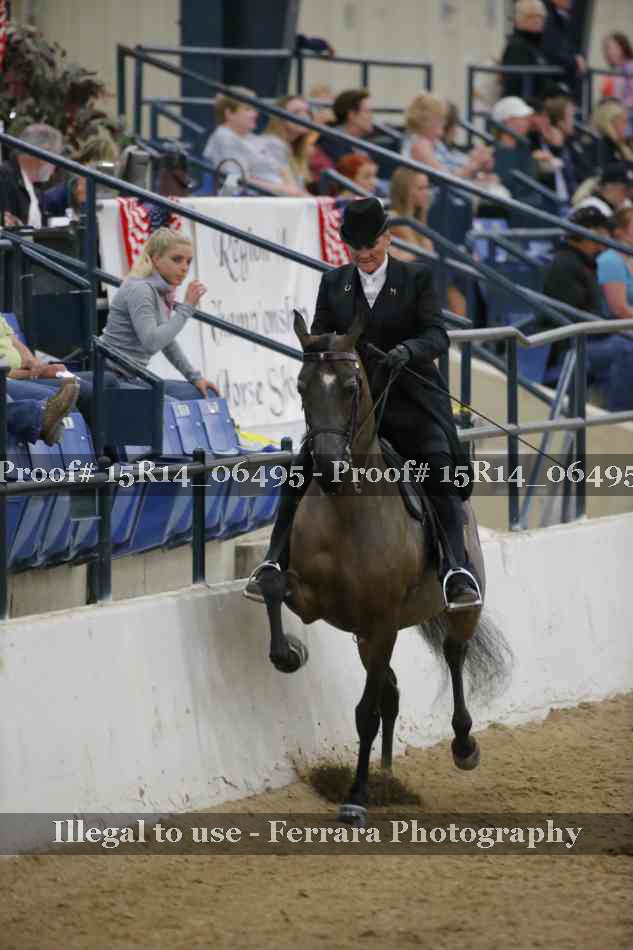 Proof Number 15R14_06495