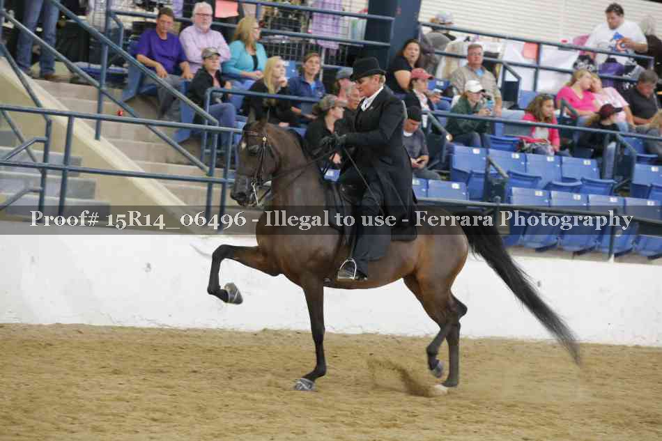 Proof Number 15R14_06496